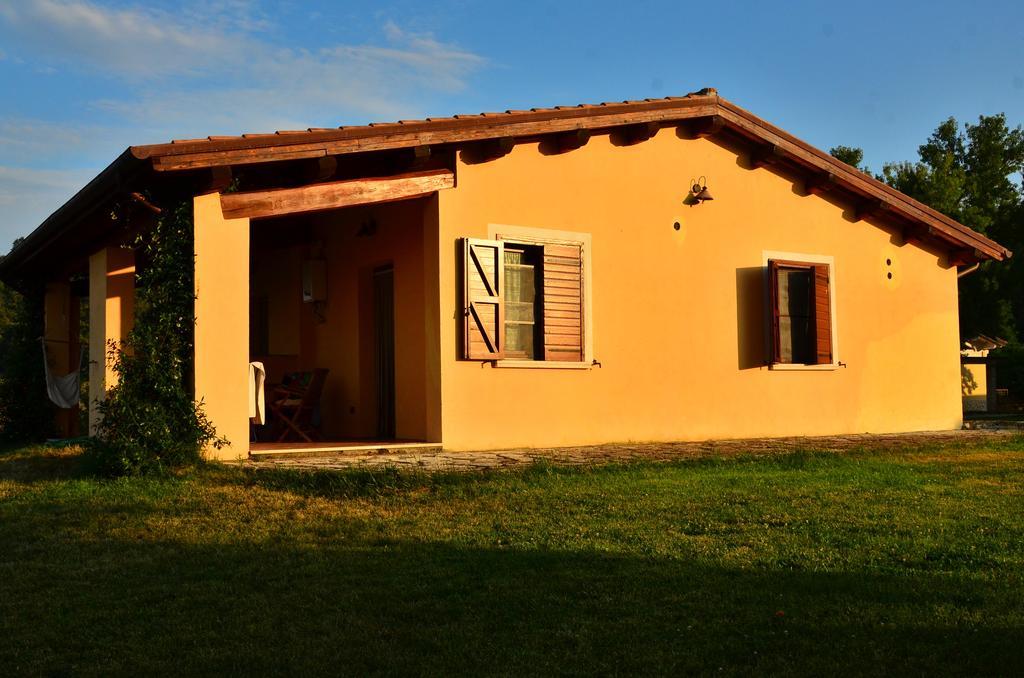 Agriturismo Terre Di Musignano Canino Habitación foto
